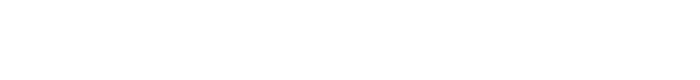 Firmengruppe STEGEMANN S T